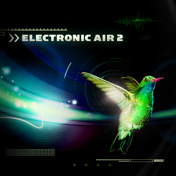 Electronic air