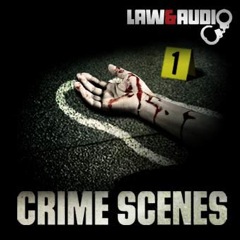 Album art for the SCORE album CRIME SCENES by JAMES S LEVINE.