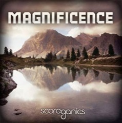 Album art for MAGNIFICENCE.