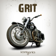 Album art for the ROCK album GRIT by BILLY  SONIC.