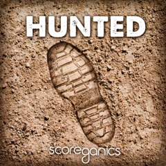 Album art for HUNTED.