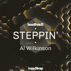 Album art for the EDM album STEPPIN' by AL WILKINSON.