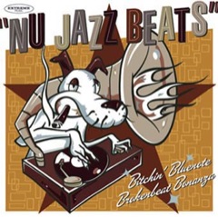 Album art for the JAZZ album NU JAZZ BEATS by DUST DEVIL.