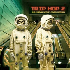 Album art for the HIP HOP album TRIP HOP 2 by ROBERT  DEL NAJA.