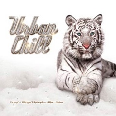 Album art for the EDM album URBAN CHILL by DIGGLAR.