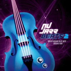 Album art for the JAZZ album NU JAZZ BEATS 2 by SLY SILVER.