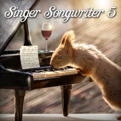 Album art for the POP album SINGER SONGWRITER 5 by DEVIN JAY HOFFMAN.