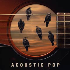 Album art for the POP album ACOUSTIC POP by DEVIN JAY HOFFMAN.