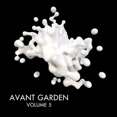 Album art for the ELECTRONICA album AVANT GARDEN VOL.5 by LEIF  VAN CLEEF.
