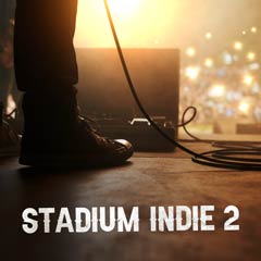Album art for the ROCK album STADIUM INDIE 2 by DANE LEWIS ETTERIDGE.