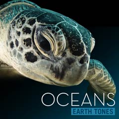 Album art for the SCORE album OCEANS by JACOB SHEA.