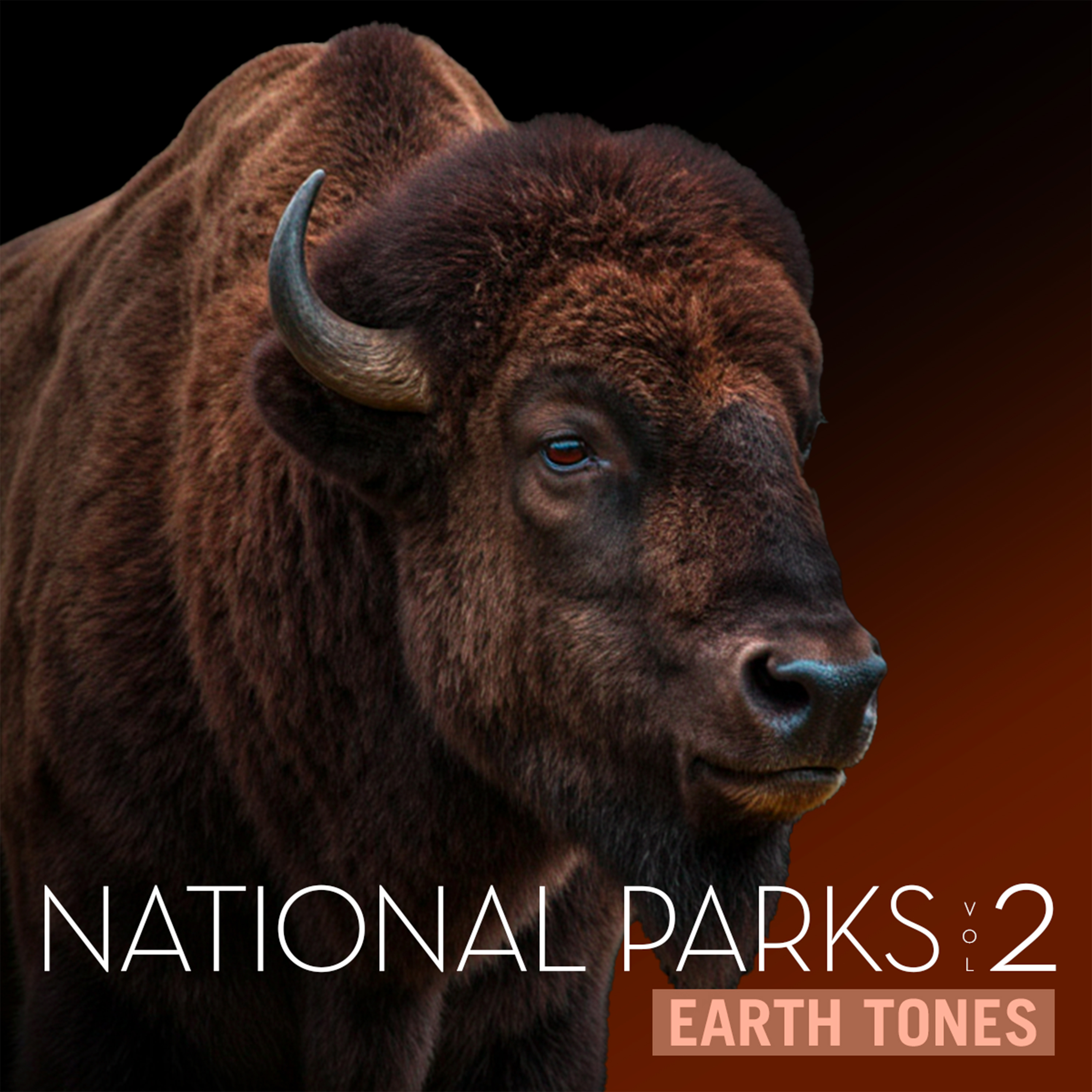 AETN YELLOWSTONE