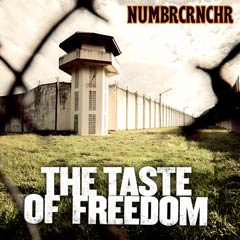 Album art for THE TASTE OF FREEDOM by NUMBR CRNCHR.