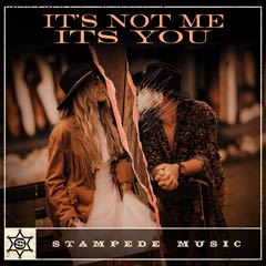 Album art for the COUNTRY album IT AINT ME ITS YOU by TRAVIS  HOWARD.