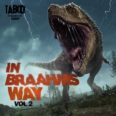 Album art for IN BRAAHMS WAY VOL 2.