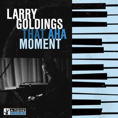 Album art for the BLUES album THAT AHA MOMENT by LARRY GOLDINGS