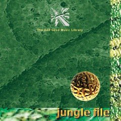 Album art for the EDM album Jungle-File
