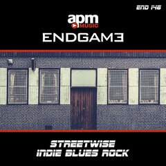 Album art for the ROCK album STREETWISE - INDIE BLUES ROCK