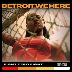 Album art for the HIP HOP album DETROIT WE HERE