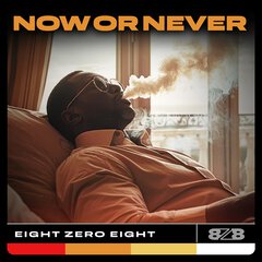 Album art for the HIP HOP album NOW OR NEVER