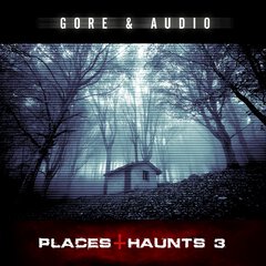 Album art for the SCORE album PLACES & HAUNTS 3