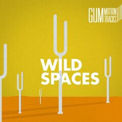 Album art for the  album WILD SPACES
