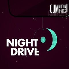 Album art for the  album NIGHT DRIVE