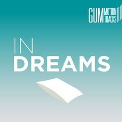 Album art for the EASY LISTENING album IN DREAMS