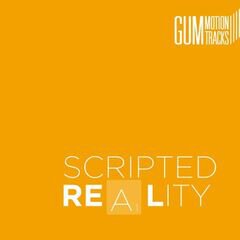 Album art for the EDM album SCRIPTED REALITY