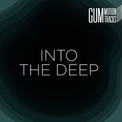 Album art for the ATMOSPHERIC album INTO THE DEEP