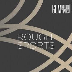 Album art for the ROCK album ROUGH SPORTS