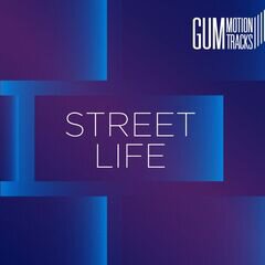 Album art for the  album STREET LIFE