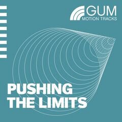 Album art for the  album PUSHING THE LIMITS