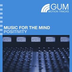 Album art for the POP album MUSIC FOR THE MIND POSITIVITY