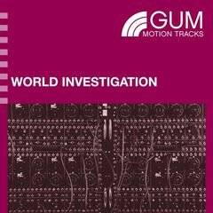 Album art for the ELECTRONICA album WORLD INVESTIGATION