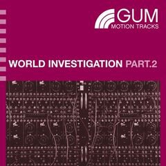 Album art for the WORLD album WORLD INVESTIGATION PART 2