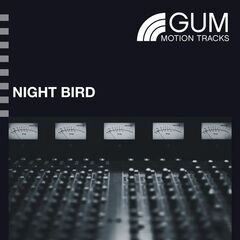 Album art for the EDM album NIGHTBIRD