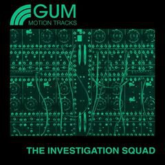 Album art for the  album The Investigation Squad
