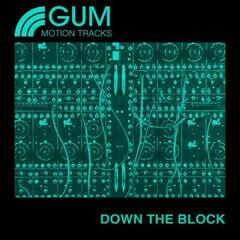 Album art for the HIP HOP album Down the Block