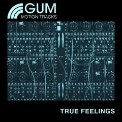 Album art for the  album True Feelings