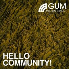 Album art for the EDM album Hello Community !
