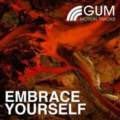 Album art for the EDM album Embrace Yourself