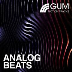 Album art for the EDM album Analog Beats