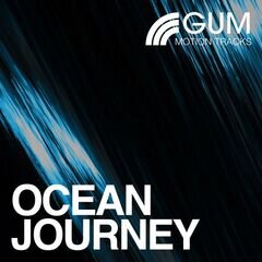 Album art for the  album Ocean Journey