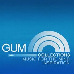 Album art for the EDM album MUSIC FOR THE MIND INSPIRATION