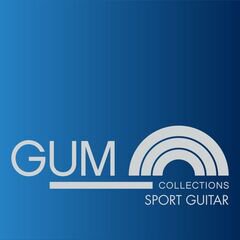 Album art for the ROCK album SPORT GUITAR