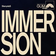 Album art for the  album Immersion