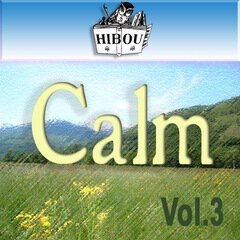 Album art for the  album Calm / Volume 3