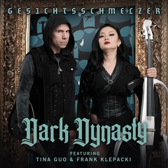 Album art for the ROCK album GESICHTSSCHMELZER by DARK DYNASTY