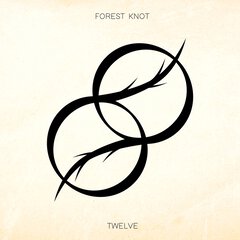Album art for the EDM album TWELVE by FOREST KNOT